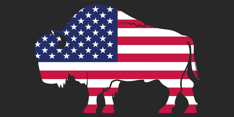 USA Bison Bumper Sticker American Libertarian Republican Made in U.S.A.