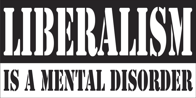 Liberalism is a Mental Disorder Bumper Sticker Made In USA