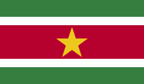 Suriname 3'X5' Flag ROUGH TEX® 68D