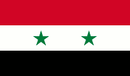 Syria 3'X5' Flag ROUGH TEX® 68D 1980-2024