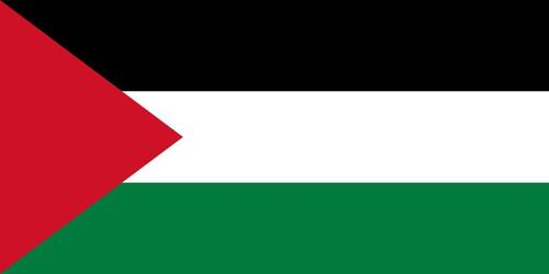 144 Count Case of Palestine 3'x5' Flag ROUGH TEX® 68D