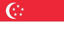 144 Count Case of Singapore 3'x5' Flag ROUGH TEX® POLYESTER