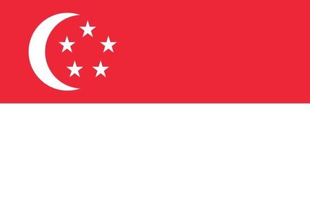 144 Count Case of Singapore 3'x5' Flag ROUGH TEX® POLYESTER