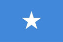 144 Count Case of Somalia 3'x5' Flag ROUGH TEX® 68D