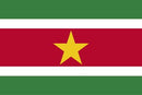 144 Count Case of Suriname 3'x5' Flag ROUGH TEX® POLYESTER
