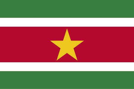 144 Count Case of Suriname 3'x5' Flag ROUGH TEX® POLYESTER