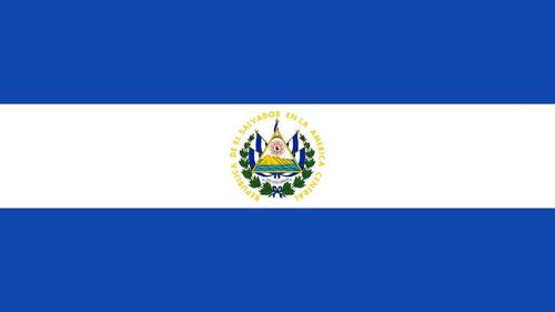 144 Count Case of El Salvador 3'x5' Flag ROUGH TEX® 68D