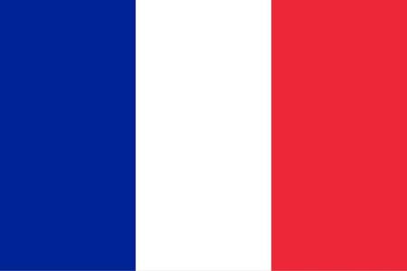 144 Count Case of France 3'x5' Flag ROUGH TEX® 68D