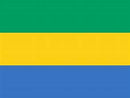 144 Count Case of Gabon 3'x5' Flag ROUGH TEX® POLYESTER