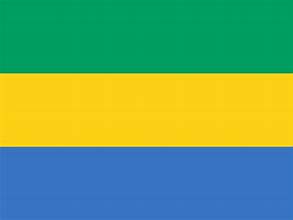 144 Count Case of Gabon 3'x5' Flag ROUGH TEX® POLYESTER