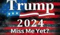 Trump 2024 Miss Me Yet Wave Galaxy 12"x18" Flag ROUGH TEX® 100D With Grommets