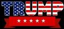 Trump USA 5 Stars 12"x18" Double Sided Flag With Grommets ROUGH TEX® 100D
