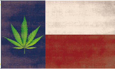 Texas Cannabis 3'X5' Flag ROUGH TEX® 100D