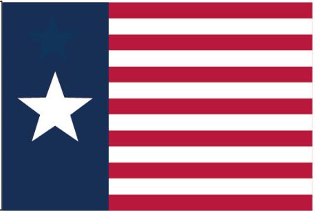 Texas Navy Association 12"x18" Flag ROUGH TEX® 100D With Grommets