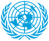 United Nations Set of Flags (2'x3' or 3'x5') UN Member States Set of Flags
