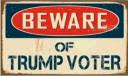 Beware of Trump Voter Vintage 12"x18" Double Sided Flag With Grommets ROUGH TEX® 100D