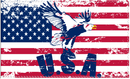 USA Eagle 3'X5' Flag ROUGH TEX® 100D American Vintage