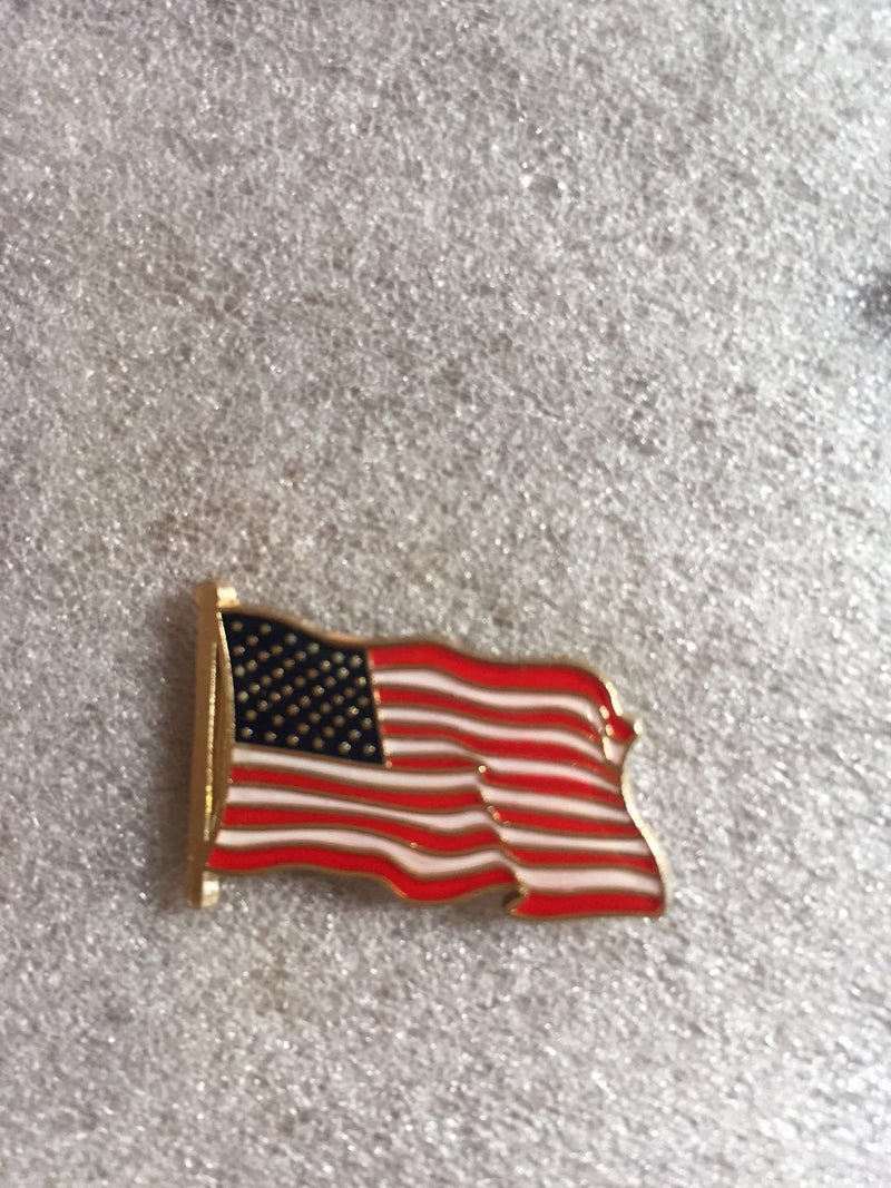 USA Wavy 2nd Version Lapel Pin