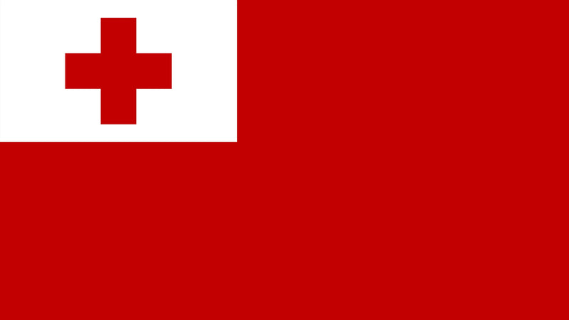 144 Count Case of Tonga 3'x5' Flag ROUGH TEX® POLYESTER