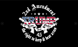 2nd Amendment TRUMP LAW & ORDER 45 Right to Bear Arms 3'x5' Flag ROUGH TEX® 68D TRUMP 2024