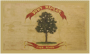 18th Mississippi Infantry Burt Rifles 3'X5' Flag Rough Tex® 100D