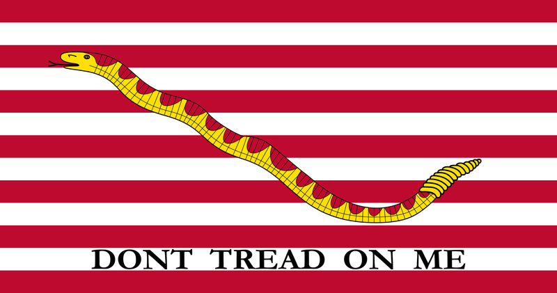 First Navy Jack Don't Tread On Me Bumper Sticker