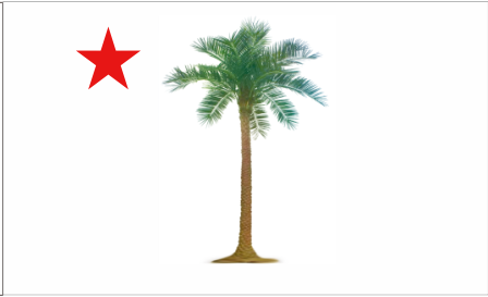 1st South Carolina 3'X5' Flag Rough Tex® 100D