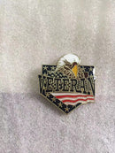 Veteran USA Eagle Lapel Pin