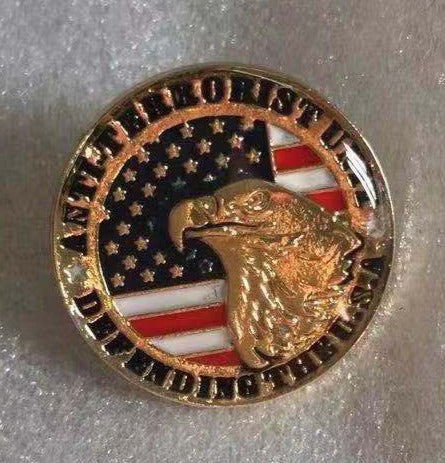 Defending The USA Lapel Pin