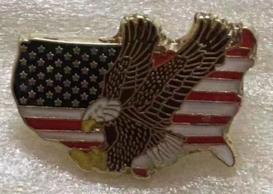 USA Map Eagle Lapel Pin