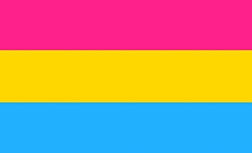 Pansexual 3'X5' Flag Rough Tex ® 100D Pride