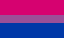 Bisexual Pride 3'x5' Flag Rough Tex ® 68D Nylon