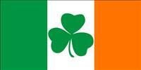 Ireland Shamrock Bumper Sticker