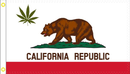 California Republic Leaf  2'X3' Flag- Rough Tex® 100D