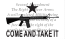 2nd Amendment Come and Take It 3'X5' Flag ROUGH TEX® 68D