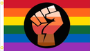 3'X5'100D RAINBOW FIST FLAG