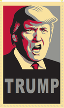 Trump Art Flag 3'X5' Rough Tex ® 100D