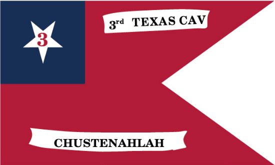 Texas 3rd CSA 3'X5' Flag Rough Tex® 100D