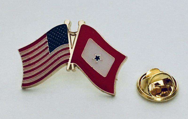 USA Service Star Friendship Flag Lapel Pin