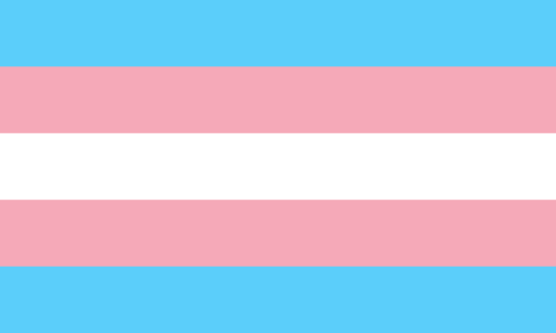 Transgender Pride 3x5ft Nylon 150D Flag