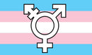 Transgender Symbol 3'X5' Flag Rough Tex® Polyester