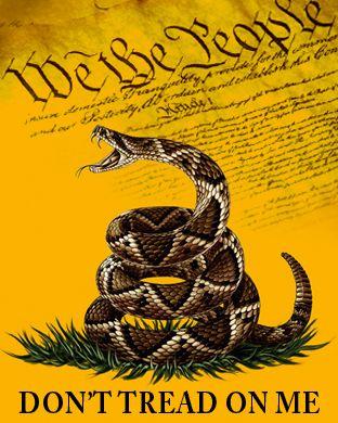 Gadsden We The People 3'X5' Flag Rough Tex® 68D Nylon Don't Tread on Me Live