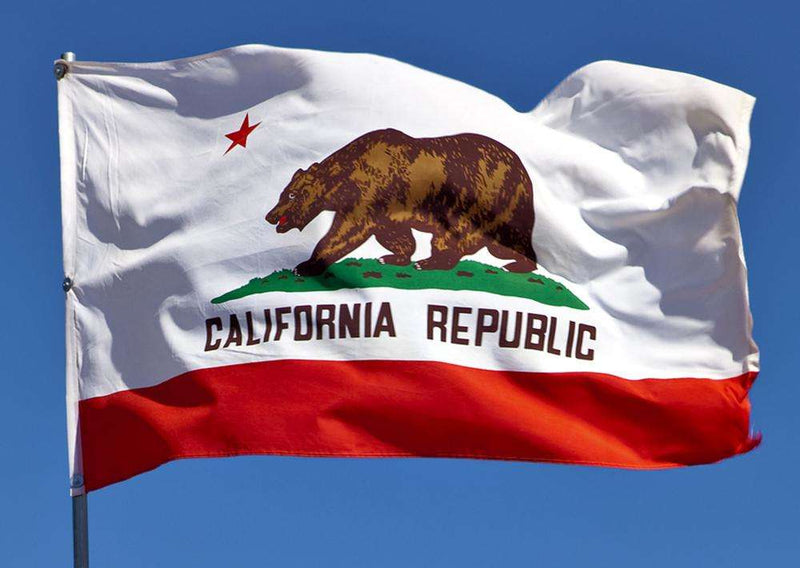 California Republic Single Sided 3'X5' Flag Rough Tex® 200D