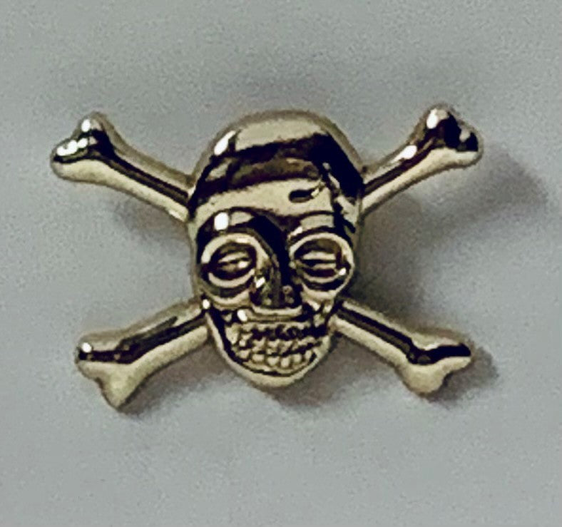 Gold Skull and Bones Lapel Pin