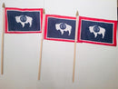 6x9 inch sewn edge classroom US State American flags & USA Stick Flags