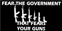 Fear the Government Bumper Sticker