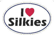 I Love Silkies Oval Bumper Sticker