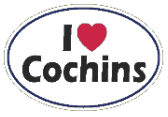 I Love Cochins Oval Bumper Sticker