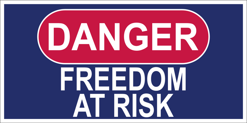 Danger Freedom At Risk - Bumper Sticker