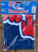 Keep On Trumpin' Blue 3'X5' Flag Rough Tex® 100D